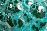 Vibrant Polished Malachite with Chrysocolla - DR Congo #320443-2